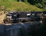 NS 9838